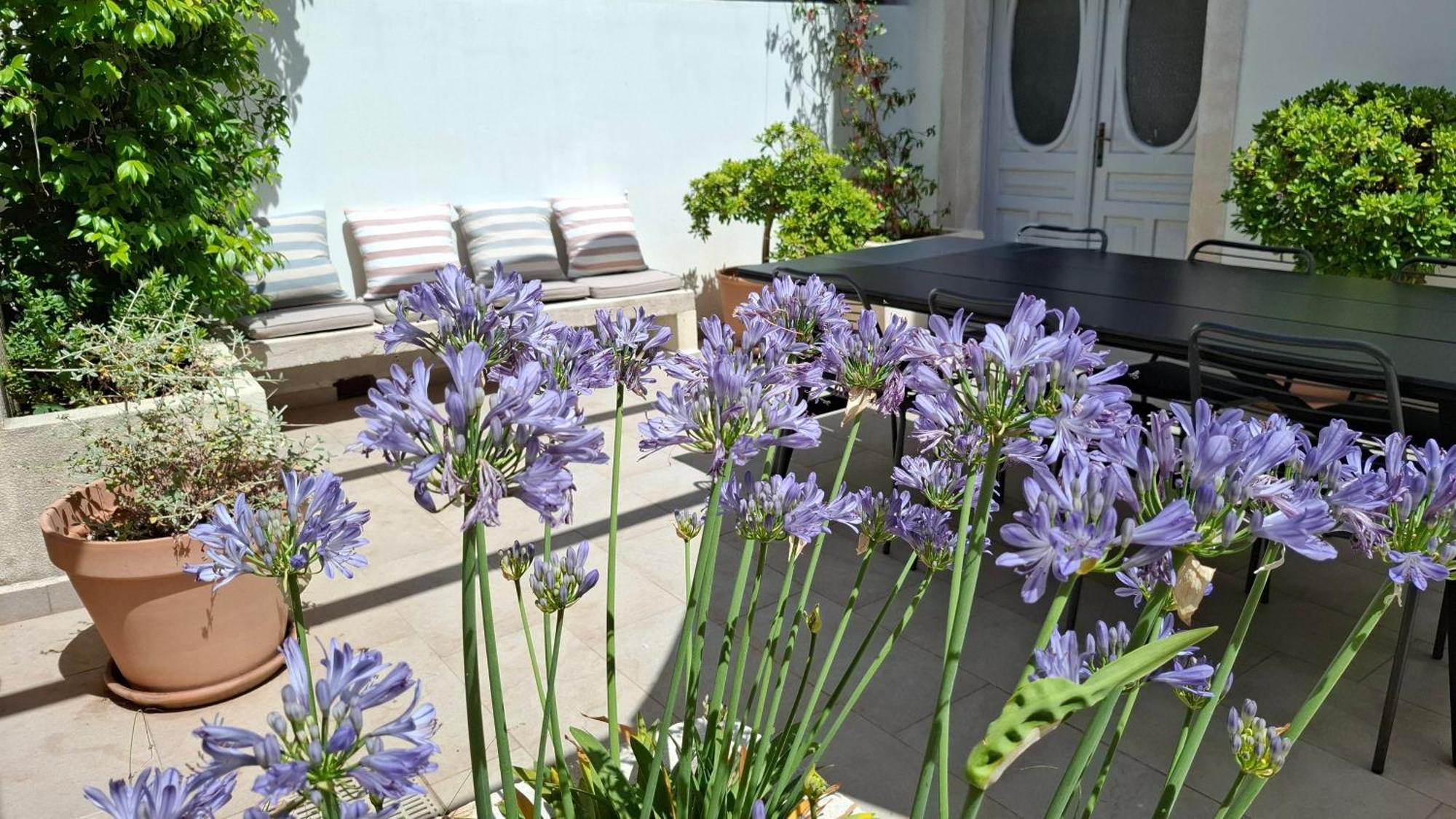 Villa Mira With A Heated Pool And A Sea View 보자바 외부 사진